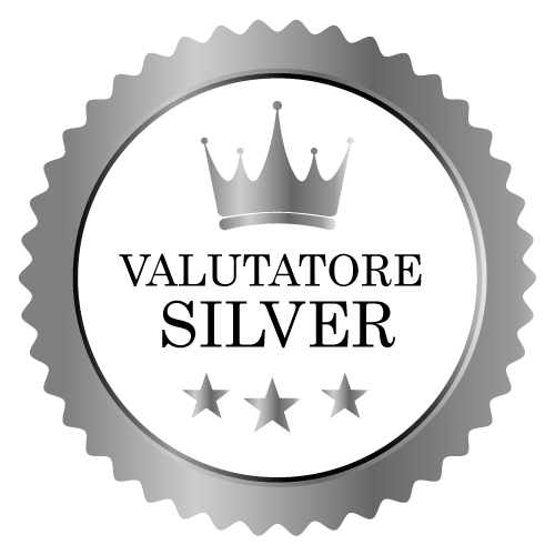 Agenzia Certificata SILVER